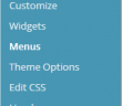 menu not showing in wordpress